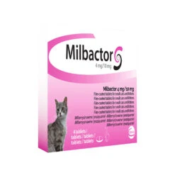 Milbactor Kat -Katten Honden Benodigdheden Winkel milbactor kat 176956 1000 none