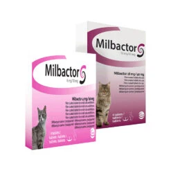 Milbactor Kat -Katten Honden Benodigdheden Winkel milbactor kat 176962 1000 none