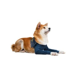 MPS-TAZ2 Voorpootmouwtjes -Katten Honden Benodigdheden Winkel mps taz2 voorpootmouwtjes 167446 1000 none