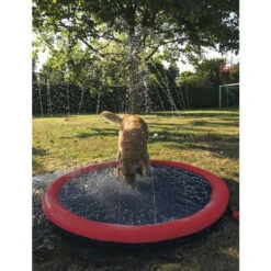 Nobby Splash Pool -Katten Honden Benodigdheden Winkel nobby splash pool 222480 1000 none