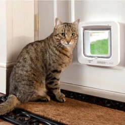 SureFlap Microchip Kattenluik -Katten Honden Benodigdheden Winkel p3pvYfSbnZwTLFjS8xwjla4Ii09W1U metaU3VyZWZsYXAtU2ZlZXIuanBn