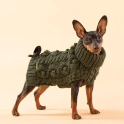 PAIKKA Handmade Knit Sweater -Katten Honden Benodigdheden Winkel paikka handmade knit sweater green 217735 0500 none