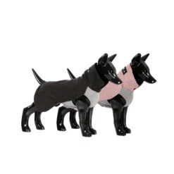 PAIKKA Recovery Winter Shirt -Katten Honden Benodigdheden Winkel paikka recovery winter shirt 217785 2000 none