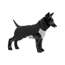 PAIKKA Recovery Winter Shirt -Katten Honden Benodigdheden Winkel paikka recovery winter shirt grey maat 55 134530 2000 none