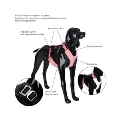 PAIKKA Visibility Harness -Katten Honden Benodigdheden Winkel paikka visibility harness 217810 2000 none