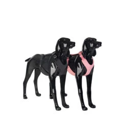 PAIKKA Visibility Harness -Katten Honden Benodigdheden Winkel paikka visibility harness 217813 2000 none