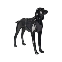 PAIKKA Visibility Harness -Katten Honden Benodigdheden Winkel paikka visibility harness 217815 2000 none