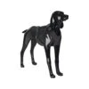 PAIKKA Visibility Harness -Katten Honden Benodigdheden Winkel paikka visibility harness dark xs 134555 2000 none