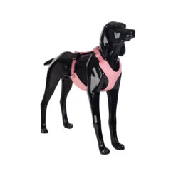 PAIKKA Visibility Harness -Katten Honden Benodigdheden Winkel paikka visibility harness pink m 134560 2000 none