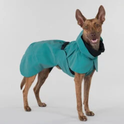 PAIKKA Visibility Raincoat Emerald -Katten Honden Benodigdheden Winkel paikka visibility raincoat emerald 222162 2000 none