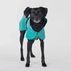 PAIKKA Visibility Raincoat Emerald -Katten Honden Benodigdheden Winkel paikka visibility raincoat emerald 222163 2000 none