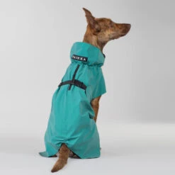 PAIKKA Visibility Raincoat Emerald -Katten Honden Benodigdheden Winkel paikka visibility raincoat emerald 222164 2000 none