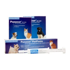 Panacur - Hond & Kat -Katten Honden Benodigdheden Winkel panacur hond en kat 88405 1000 none
