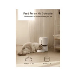 Petlibro Granary Automatic Feeder -Katten Honden Benodigdheden Winkel petlibro granary automatic feeder 221341 2000 none