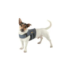 Petlife KarmaWrap Hond -Katten Honden Benodigdheden Winkel petlife karmawrap hond 154189 1000 none
