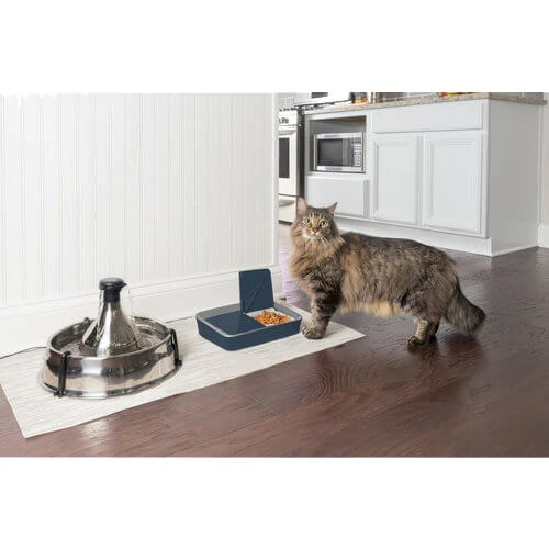 PetSafe Automatic 2 Meal Pet Feeder 5 PetSafe Automatic 2 Meal Pet Feeder - Afbeelding 3