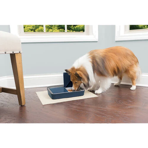 PetSafe Automatic 2 Meal Pet Feeder 6 PetSafe Automatic 2 Meal Pet Feeder - Afbeelding 4