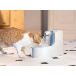 Petsafe Drinkwell Mini Drinkfontein - 1.2 L 11 Petsafe Drinkwell Mini Drinkfontein - 1.2 L -Katten Honden Benodigdheden Winkel petsafe drinkwell mini drinkfontein 12 l 185815 1000 none