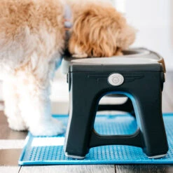 Popware Pet Bowl Grippmat 9 Popware Pet Bowl Grippmat -Katten Honden Benodigdheden Winkel popware pet bowl grippmat 164719 2000 none