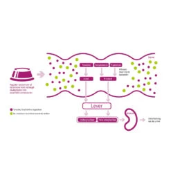 Porus One 17 Porus One -Katten Honden Benodigdheden Winkel porus one 134455 1000 none