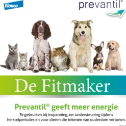 Bayer Prevantil 12 Bayer Prevantil -Katten Honden Benodigdheden Winkel prevantil 195257 2000 none