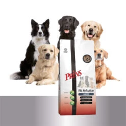 Prins Fit Selection Senior -Katten Honden Benodigdheden Winkel prins fit selection senior 171136 1500 none