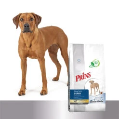 Prins ProCare Croque Super Performance -Katten Honden Benodigdheden Winkel prins procare croque super performance 171379 1500 none