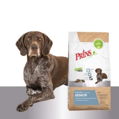 Prins ProCare Senior Support -Katten Honden Benodigdheden Winkel prins procare senior support 171634 1500 none