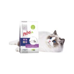 Prins VitalCare Gastro-Intestinal Low Fat -Katten Honden Benodigdheden Winkel prins vitalcare gastro intestinal low fat 172582 1500 none