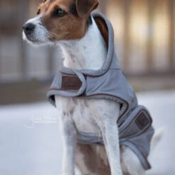 Kentucky Dog Coat Reflective & Waterrepellent -Katten Honden Benodigdheden Winkel prod 15746 219013 0500 none