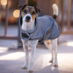 Kentucky Dog Coat Reflective & Waterrepellent -Katten Honden Benodigdheden Winkel prod 15746 219014 0500 none