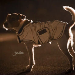 Kentucky Dog Coat Reflective & Waterrepellent -Katten Honden Benodigdheden Winkel prod 15746 219015 0500 none