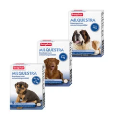 Beaphar Milquestra Hond -Katten Honden Benodigdheden Winkel product beaphar milquestra hond none 4 1463566026 68931