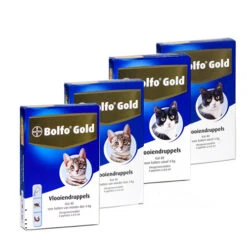 Bolfo Gold Kat -Katten Honden Benodigdheden Winkel product bolfo gold kat none 4 1467098417 70443
