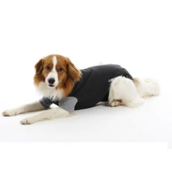 Buster Bodysuit -Katten Honden Benodigdheden Winkel product buster bodysuit none 4 1476947875 79192