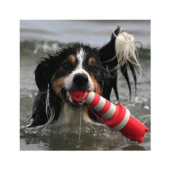 Rogz Lighthouse -Katten Honden Benodigdheden Winkel product rogz lighthouse none 4 1485526267 82936