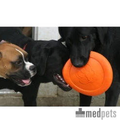 West Paw Zogoflex Zisc - Flying Disc 16 West Paw Zogoflex Zisc - Flying Disc -Katten Honden Benodigdheden Winkel product zogoflex zisc flying disc medpets 4 1403102255 8220