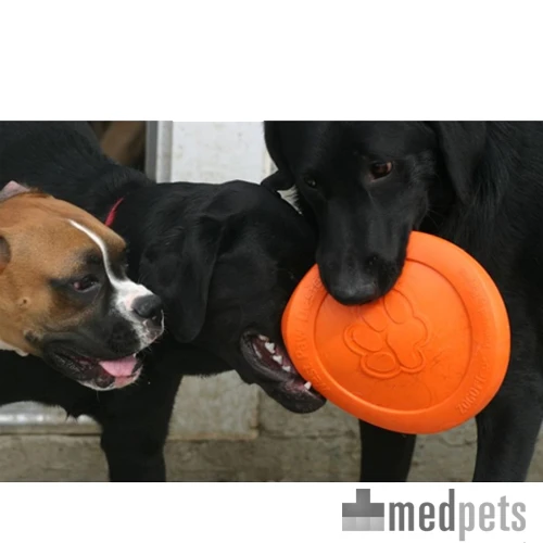 West Paw Zogoflex Zisc - Flying Disc 9 West Paw Zogoflex Zisc - Flying Disc - Afbeelding 7