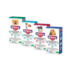 Ataxxa -Katten Honden Benodigdheden Winkel qHDDj8RGq0OyrQuWaFNULOZfRk2Hi6 metaQXRheHhhLU92ZXJ6aWNodHNmb3RvLUpwZy5qcGc