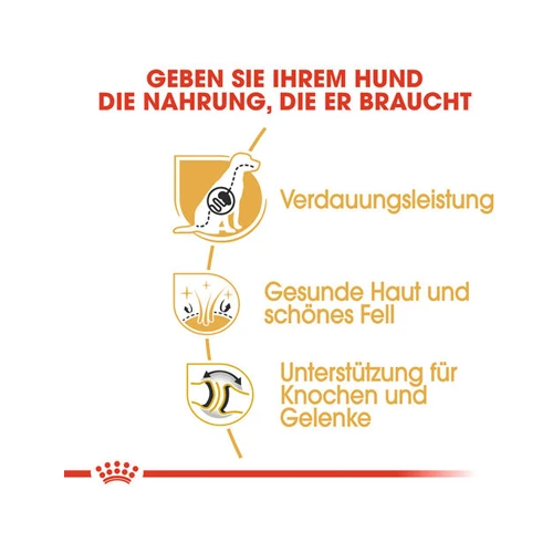 Royal Canin German Shepherd Adult - Hondenvoer 14 Royal Canin German Shepherd Adult - Hondenvoer - Afbeelding 12