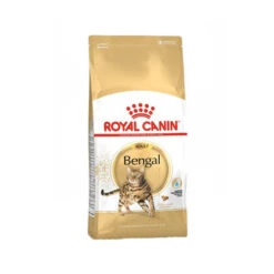 Royal Canin Adult Bengal - Kattenvoer 15 Royal Canin Adult Bengal - Kattenvoer -Katten Honden Benodigdheden Winkel royal canin adult bengal kattenvoer 174517 0500 none
