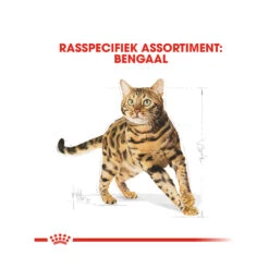 Royal Canin Adult Bengal - Kattenvoer 16 Royal Canin Adult Bengal - Kattenvoer -Katten Honden Benodigdheden Winkel royal canin adult bengal kattenvoer 175525 1000 none
