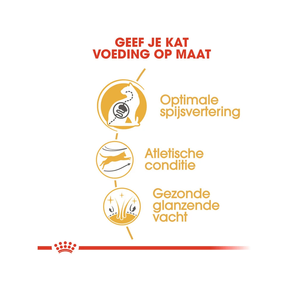 Royal Canin Adult Bengal - Kattenvoer 9 Royal Canin Adult Bengal - Kattenvoer - Afbeelding 7