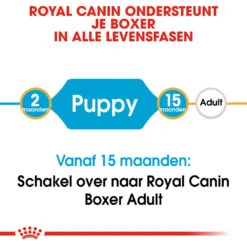 Royal Canin Boxer Puppy - Hondenvoer 19 Royal Canin Boxer Puppy - Hondenvoer -Katten Honden Benodigdheden Winkel royal canin boxer puppy hondenvoer 137470 1000 none