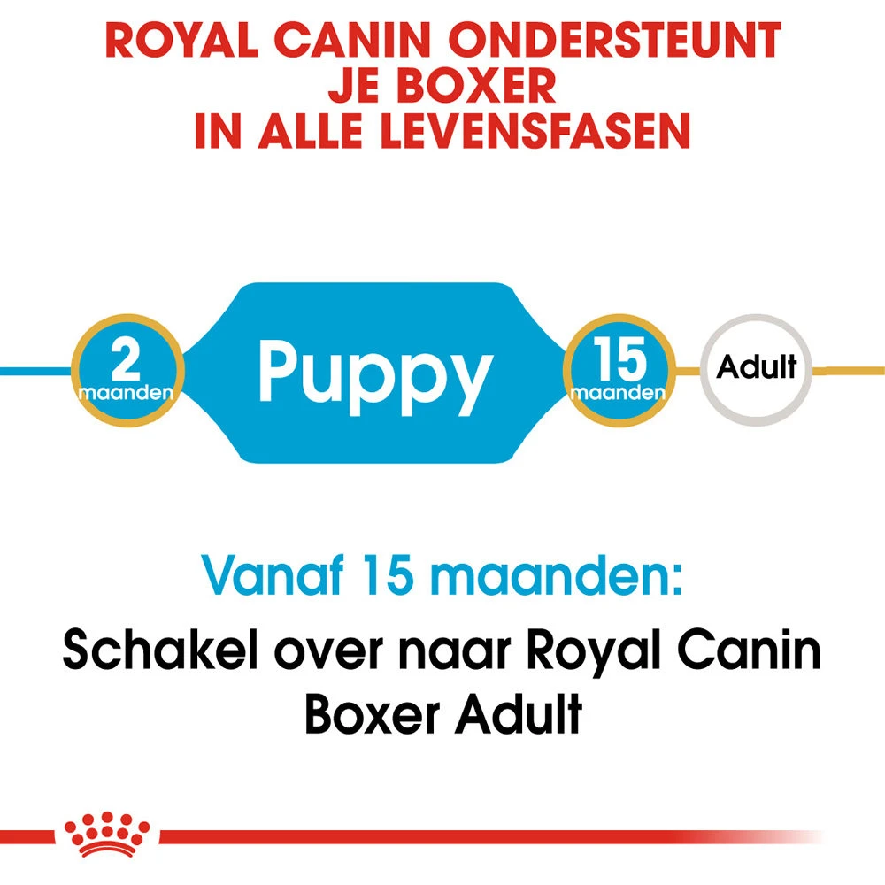 Royal Canin Boxer Puppy - Hondenvoer 9 Royal Canin Boxer Puppy - Hondenvoer - Afbeelding 7