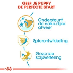 Royal Canin Boxer Puppy - Hondenvoer 16 Royal Canin Boxer Puppy - Hondenvoer -Katten Honden Benodigdheden Winkel royal canin boxer puppy hondenvoer 137488 1000 none