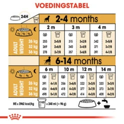 Royal Canin Boxer Puppy - Hondenvoer 21 Royal Canin Boxer Puppy - Hondenvoer -Katten Honden Benodigdheden Winkel royal canin boxer puppy hondenvoer 137506 1000 none