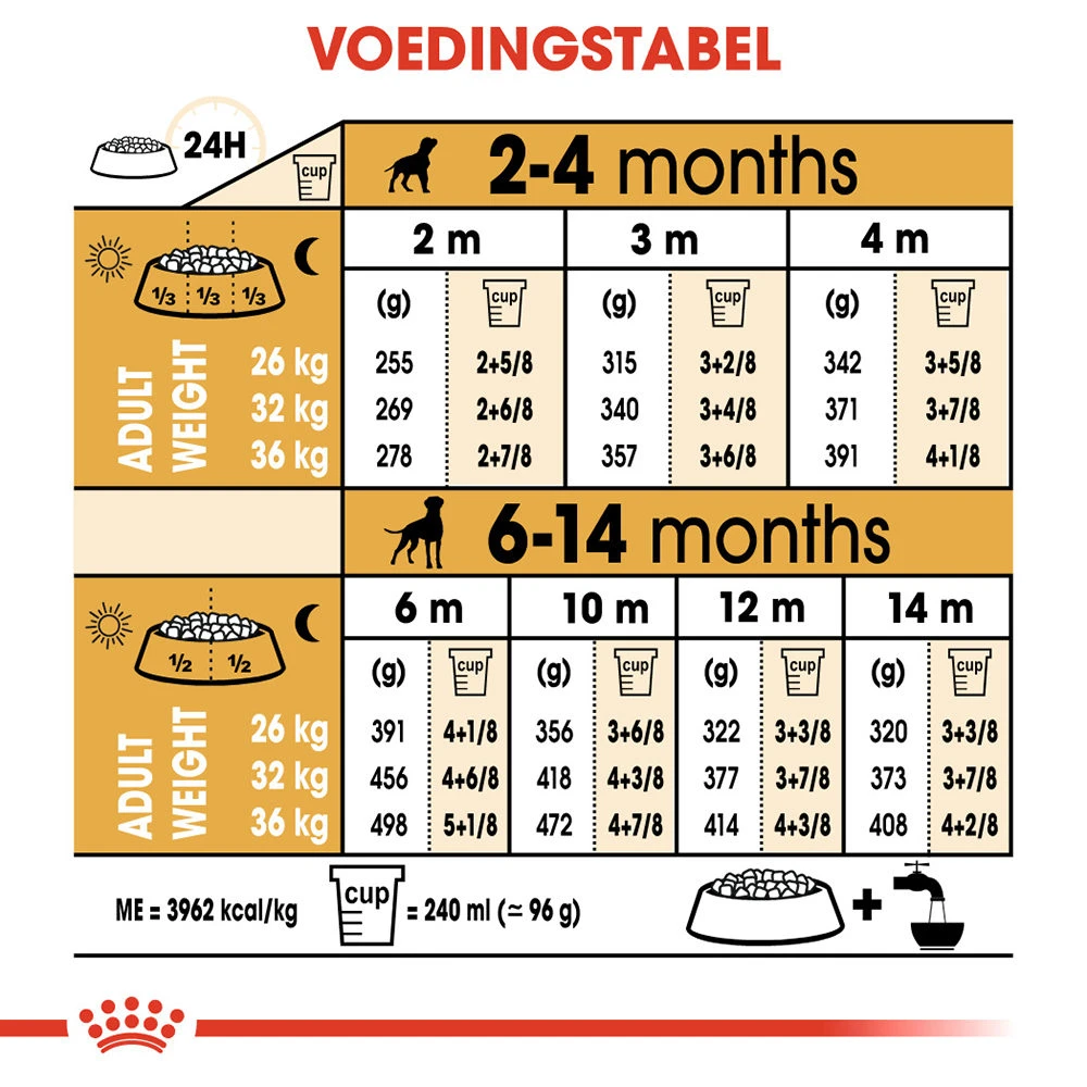 Royal Canin Boxer Puppy - Hondenvoer 11 Royal Canin Boxer Puppy - Hondenvoer - Afbeelding 9