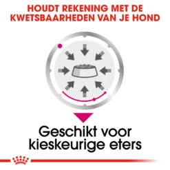 Royal Canin Exigent Wet - Hondenvoer 16 Royal Canin Exigent Wet - Hondenvoer -Katten Honden Benodigdheden Winkel royal canin exigent wet hondenvoer 131888 1000 none