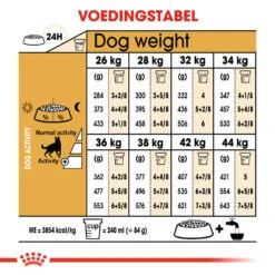 Royal Canin German Shepherd Adult - Hondenvoer 25 Royal Canin German Shepherd Adult - Hondenvoer -Katten Honden Benodigdheden Winkel royal canin german shepherd adult hondenvoer 138793 1000 none